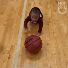 trying to get the ball happily crawling playing basketball