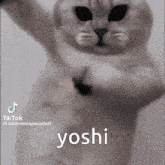 Hello Yoshi Vro GIF - Hello Yoshi Vro GIFs
