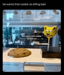 a cookie and a lollipop are on display in a display case .
