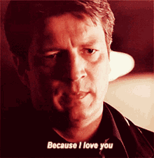Castle Because GIF - Castle Because I Love You GIFs