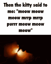 Meow Meow Cat GIF - Meow Meow Cat Meme GIFs