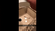 a person is pouring a bowl of water into a sink .