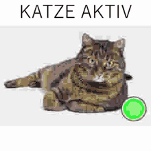 Katze Aktiv GIF - Katze Aktiv Inaktiv GIFs