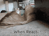 Catstare React GIF - Catstare React Programming GIFs