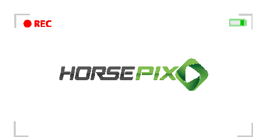 Horsepix Sticker - Horsepix Stickers