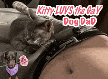 a cat laying on top of a man 's stomach with the words kitty luvs the gay dog dad above it