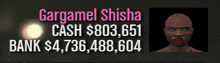 gargamel shisha cash $ 803,601 bank $ 4,736,188,604