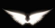 Angel Wings GIF - Angel Wings GIFs