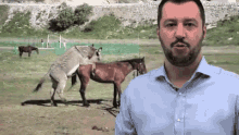 Lega Nord Salvini Cavalli Propaganda Politica GIF - Lega Nord Salvini Horses GIFs