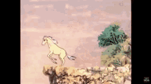 Taura Silver Brumby GIF