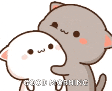 a couple of cartoon cats hugging each other with the words good morning written on the bottom