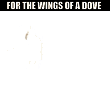 Madness Wings Of A Dove GIF - Madness Wings Of A Dove New Wave GIFs