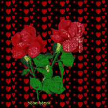 a picture of two red roses with green leaves on a black background