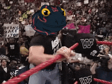 Cyber Frogs Cyberfrogs GIF - Cyber Frogs Cyberfrogs Frogs Fuck GIFs
