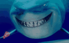 Finding Nemo Smile GIF - Finding Nemo Smile Shark GIFs