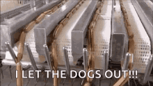 I Let The Dogs Out Sausage GIF - I Let The Dogs Out Sausage Hot Dogs GIFs