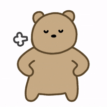 bear brown cute lovely confident