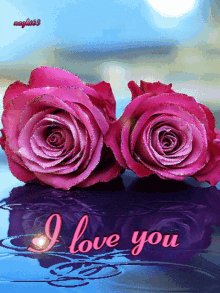 Pink Roses GIF - Pink Roses Love GIFs