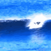 Tube Surfing GIF - Tube Surfing Closeout GIFs