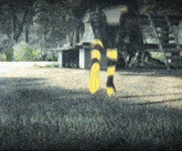a person wearing yellow and black striped socks is running
