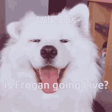 Frogan Whenisfrogan GIF - Frogan Whenisfrogan GIFs