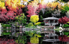 Garden Nature GIF - Garden Nature Reflection GIFs