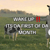 two cows are standing in a grassy field with the words wake up its da first of da month