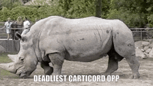 Rhino Carticord Carti Discord Server GIF - Rhino Carticord Carticord Carti Discord Server GIFs