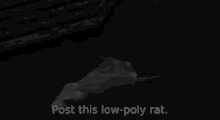 Post This Rat Rat GIF - Post This Rat Rat Post GIFs