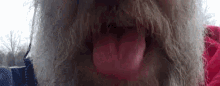 Tongue Out Checking It GIF - Tongue Out Checking It Bored GIFs
