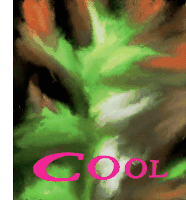 a poster that says cool on it with a green background