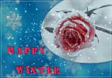 Snow Rose GIF - Snow Rose Winter GIFs