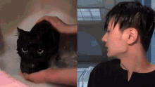 Jay Cat Jay Black Cat GIF - Jay Cat Jay Black Cat Jay Gattino GIFs