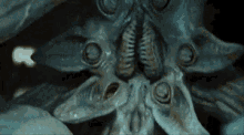 Prometheus Trilobite GIF - Prometheus Trilobite Alien GIFs