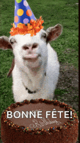 happy birthday birthday cake goat party hat greetings