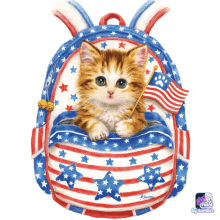 Cat Bag GIF - Cat Bag GIFs