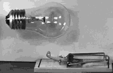 Lamp Break GIF - Lamp Break Mousetrap GIFs