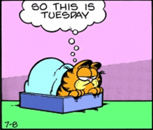 a cartoon of garfield laying in a box with a thought bubble that says " so this is tuesday "
