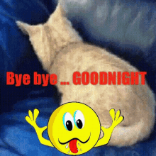 Goodnight Funny GIF - Goodnight Funny Face GIFs