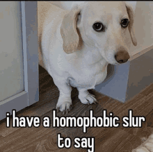 Homophobic Dog GIF - Homophobic Dog GIFs