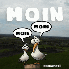 a cartoon of two seagulls talking about moin