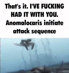 Anomalocaris I'Ve Had It With You GIF - Anomalocaris I'Ve Had It With You I'Ve Fucking Had It With You GIFs
