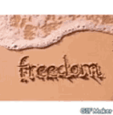 Freedom GIF