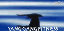 Yang Gang GIF - Yang Gang Yanggangfitness GIFs