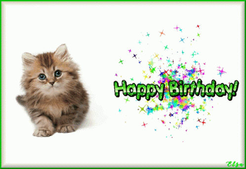 Birthday Wishes Birthday Wishes For Friend GIF - Birthday Wishes Birthday  Wishes For Friend Birthday Greetings - Discover & Share GIFs