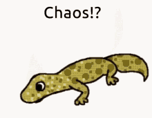 lizard chaos
