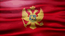 Montenegro Flag Gif GIF