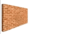 a brick wall and a cat 's face are shown .