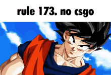 Rule 173 GIF - Rule 173 No GIFs