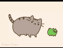 Cats Hate GIF